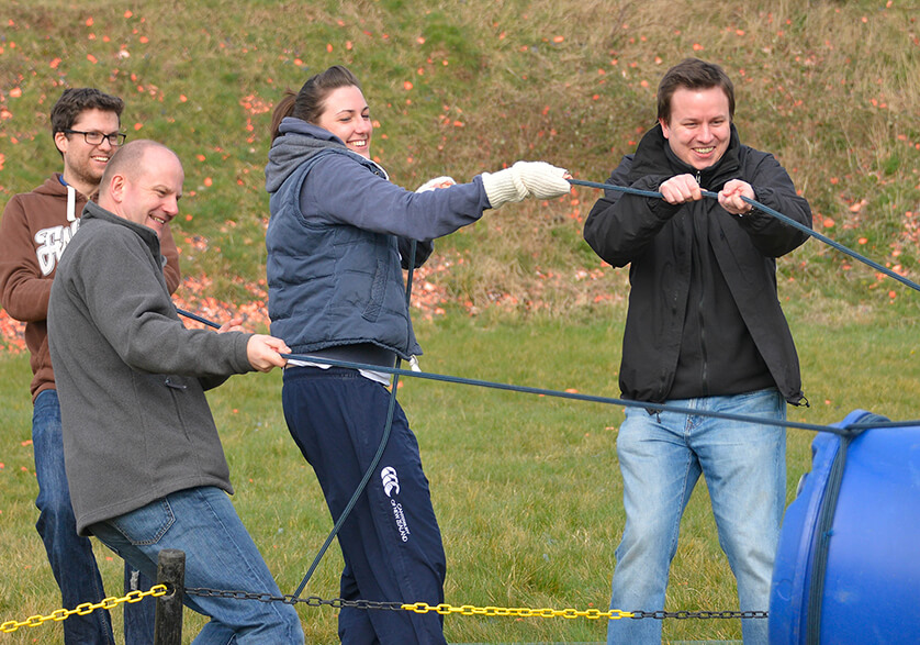 A group working together to pull some ropes
