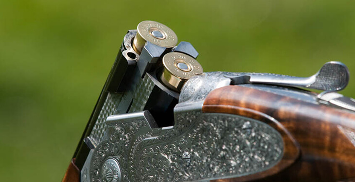 A detailed view of a shotgun barrel and shotgun shells