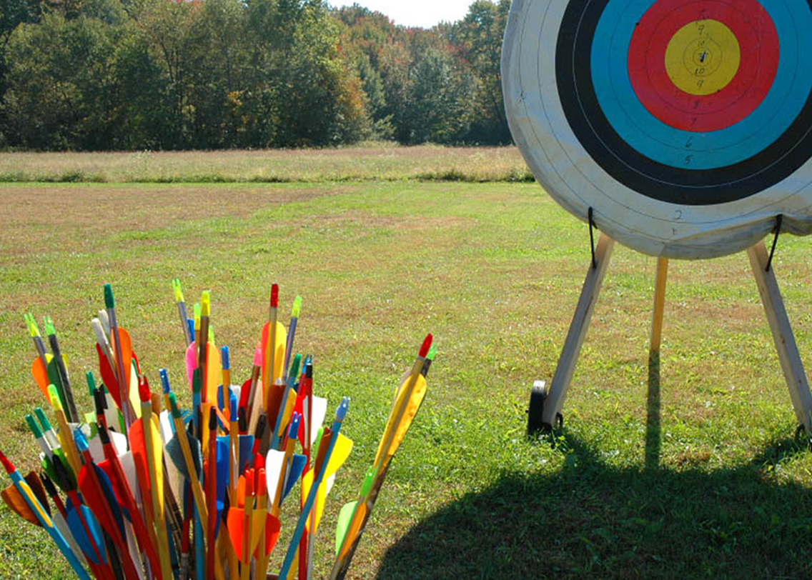 A picture of a target and some arrows