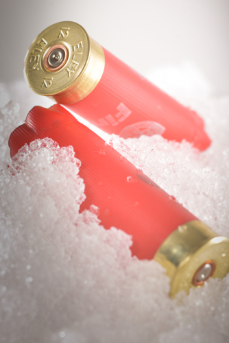 12 Gauge Shotgun Cartridges in the Snow