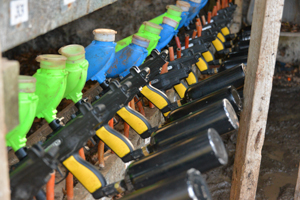 Paintball Guns Lined up