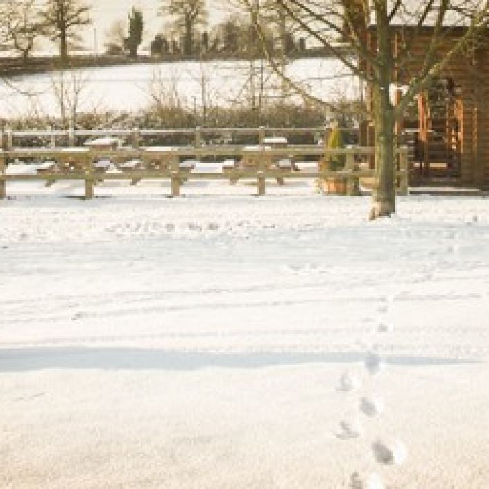 quad-trekking-in-snow.jpg